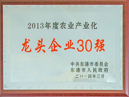 2013年度农业产业化龙头企业30强